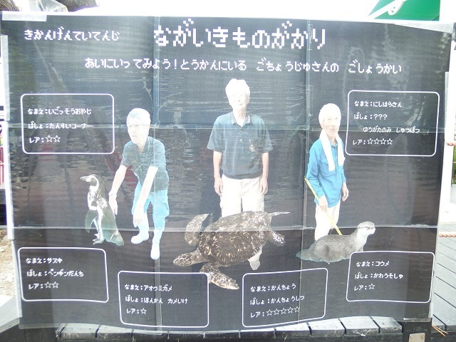 nagaikimonogakari_katsurahama_aq.jpg