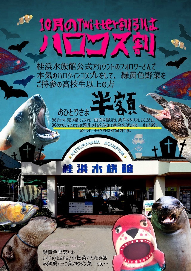 ハロコス割_Twitter.jpg